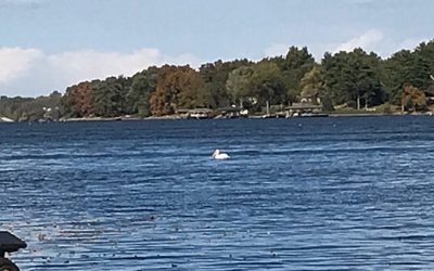 more happenings in October