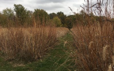 running and painting near the end of October