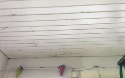 More from september,