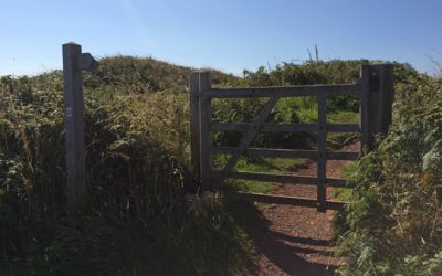 the Pembrokeshire Coast Path, really the path, finally…