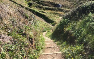 2nd part of our morning, saturday, august 15th – little haven to solva