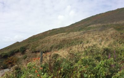 saturday, august 15th, as we continue our hike from little haven to solva