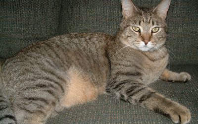 winnie winnie winnie