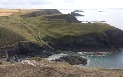 Sunday, August 16th – the rest of our hike from Solva to St. David’s
