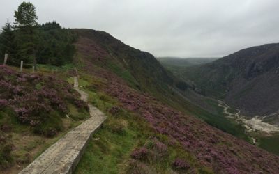 the rest of Thursday, August 20th – and a very long hike back down…