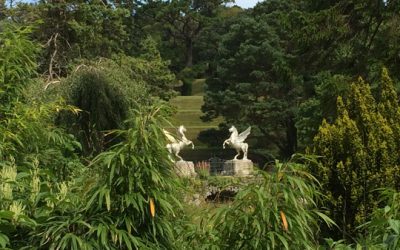 more photos of Powerscourt Gardens, Ireland – Aug. 21, 2015
