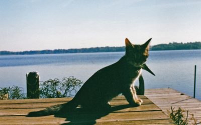 September 29th, 2002