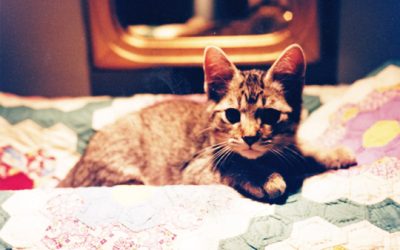 First photo of Winnie