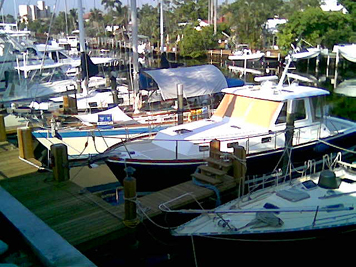 boats