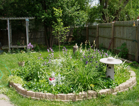 other part of yard
